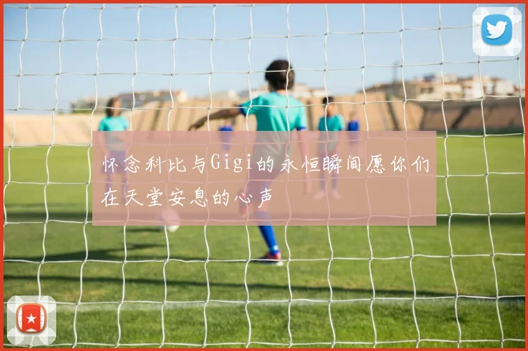 怀念科比与Gigi的永恒瞬间愿你们在天堂安息的心声