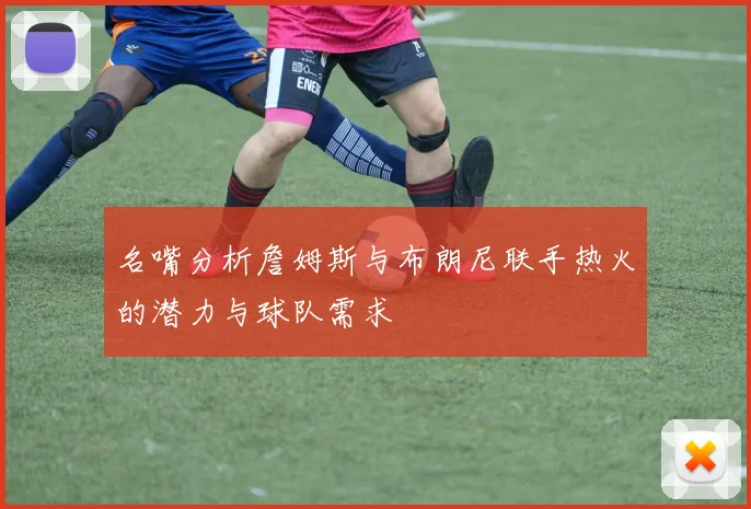 名嘴分析詹姆斯与布朗尼联手热火的潜力与球队需求