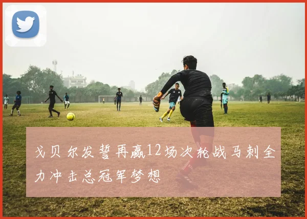戈贝尔发誓再赢12场次轮战马刺全力冲击总冠军梦想